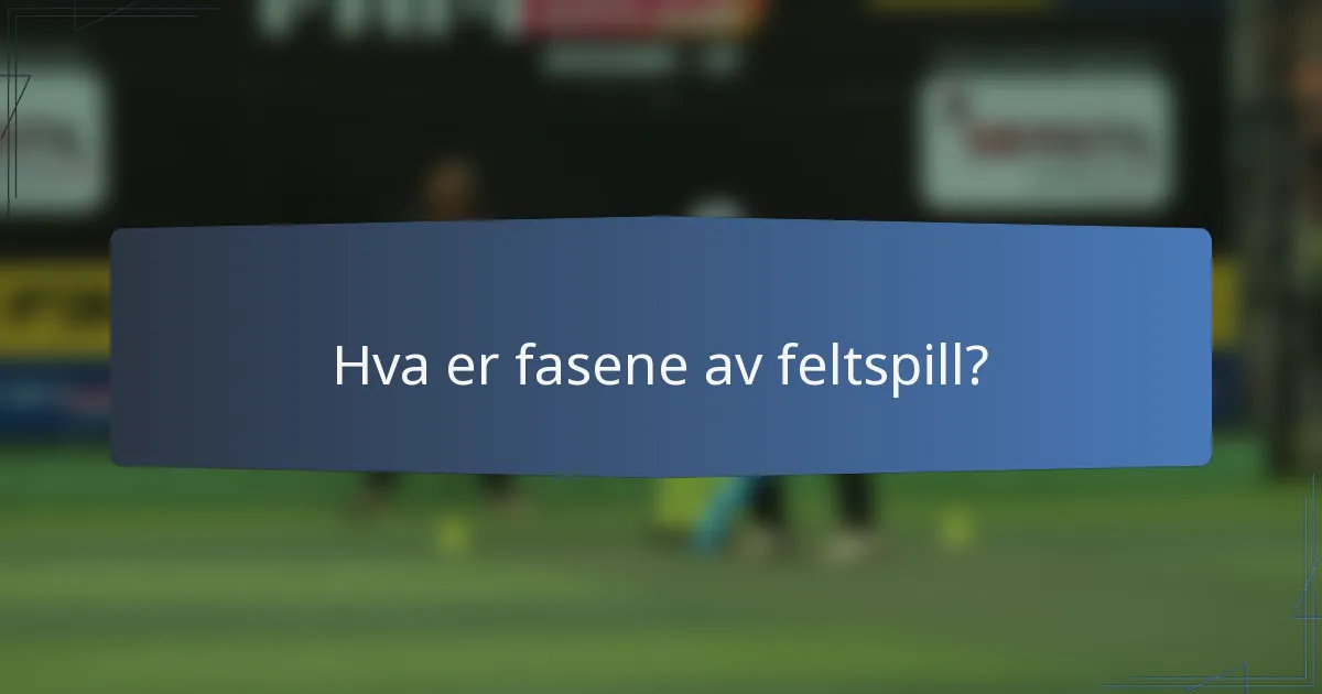 Hva er fasene av feltspill?